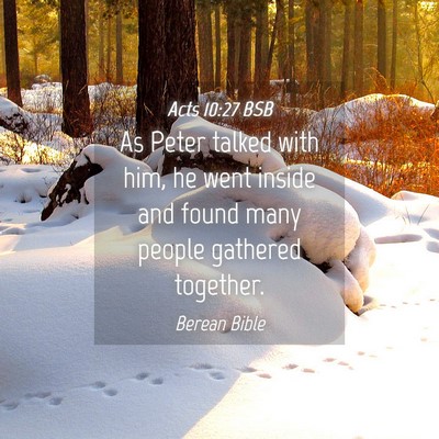Picture 04 - Acts 10:27 BSB - As Peter talked with him, he went inside and - Bible Verse Picture