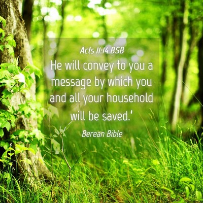 Picture 04 - Acts 11:14 BSB - He will convey to you a message by which you and - Bible Verse Picture