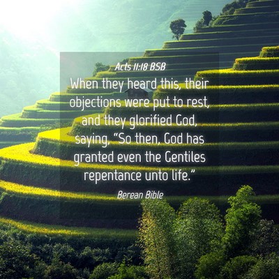 Picture 04 - Acts 11:18 BSB - When they heard this, their objections were put - Bible Verse Picture
