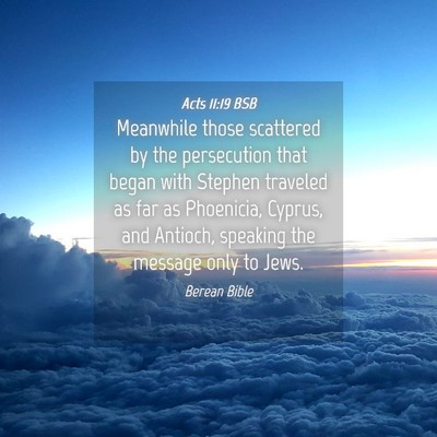 Picture 04 - Acts 11:19 BSB - Meanwhile those scattered by the persecution that - Bible Verse Picture