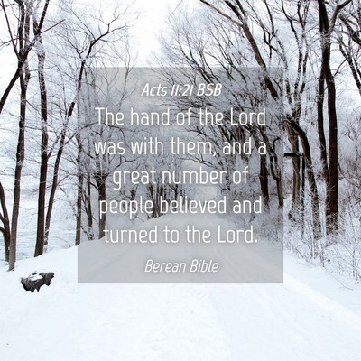 Picture 04 - Acts 11:21 BSB - The hand of the Lord was with them, and a great - Bible Verse Picture