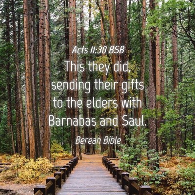 Picture 04 - Acts 11:30 BSB - This they did, sending their gifts to the elders - Bible Verse Picture