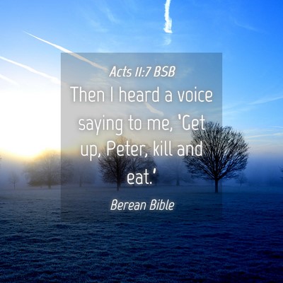 Picture 04 - Acts 11:7 BSB - Then I heard a voice saying to me, ‘Get up, - Bible Verse Picture