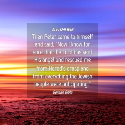 Picture 04 - Acts 12:11 BSB - Then Peter came to himself and said, “Now I - Bible Verse Picture
