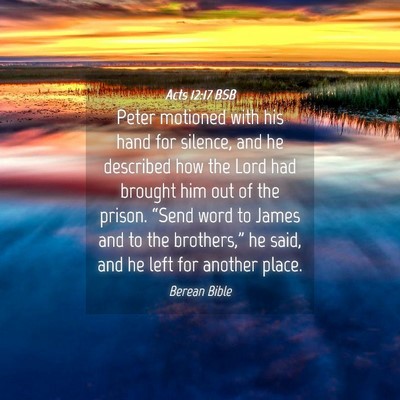 Picture 04 - Acts 12:17 BSB - Peter motioned with his hand for silence, and he - Bible Verse Picture