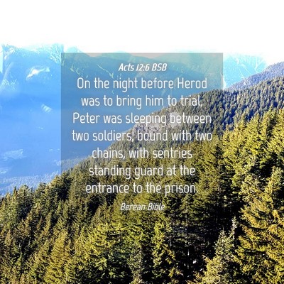 Picture 04 - Acts 12:6 BSB - On the night before Herod was to bring him to - Bible Verse Picture