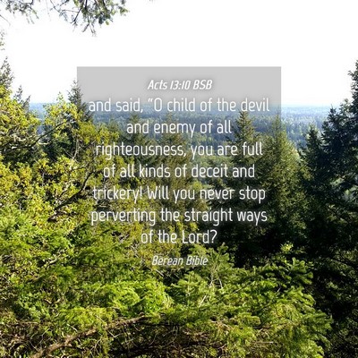 Picture 04 - Acts 13:10 BSB - and said, “O child of the devil and enemy of - Bible Verse Picture