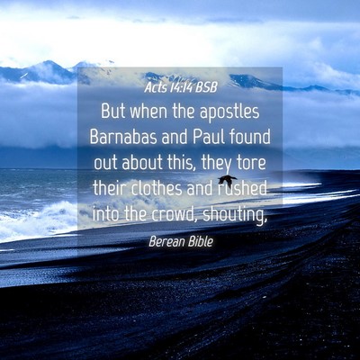 Picture 04 - Acts 14:14 BSB - But when the apostles Barnabas and Paul found out - Bible Verse Picture