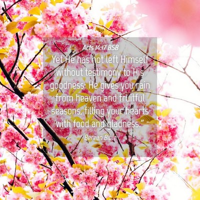 Picture 04 - Acts 14:17 BSB - Yet He has not left Himself without testimony to - Bible Verse Picture