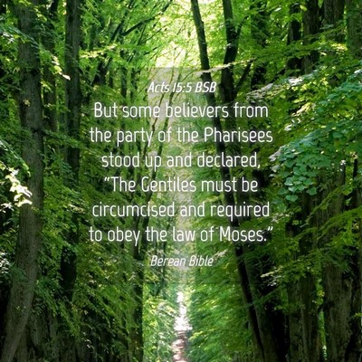 Picture 04 - Acts 15:5 BSB - But some believers from the party of the - Bible Verse Picture
