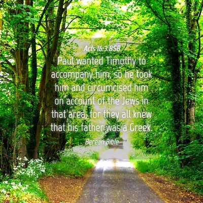 Picture 04 - Acts 16:3 BSB - Paul wanted Timothy to accompany him, so he took - Bible Verse Picture