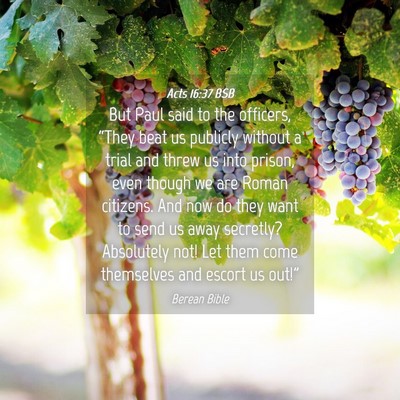 Picture 04 - Acts 16:37 BSB - But Paul said to the officers, “They beat us - Bible Verse Picture
