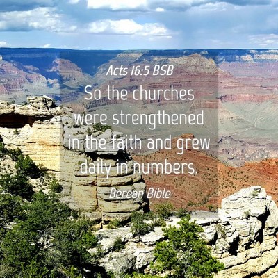 Picture 04 - Acts 16:5 BSB - So the churches were strengthened in the faith - Bible Verse Picture