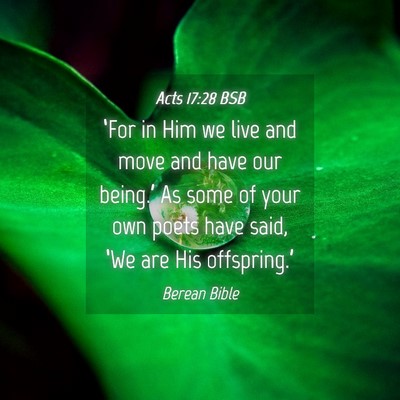 Picture 04 - Acts 17:28 BSB - ‘For in Him we live and move and have our - Bible Verse Picture