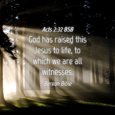 Picture 04 - Acts 2:32 BSB - God has raised this Jesus to life, to which we - Bible Verse Picture