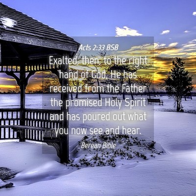 Picture 04 - Acts 2:33 BSB - Exalted, then, to the right hand of God, He has - Bible Verse Picture