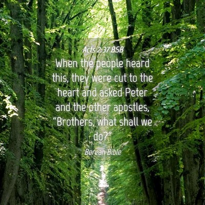 Picture 04 - Acts 2:37 BSB - When the people heard this, they were cut to the - Bible Verse Picture