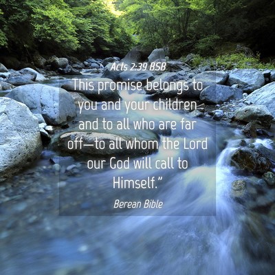 Picture 04 - Acts 2:39 BSB - This promise belongs to you and your children and - Bible Verse Picture