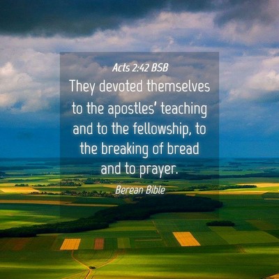 Picture 04 - Acts 2:42 BSB - They devoted themselves to the apostles’ - Bible Verse Picture