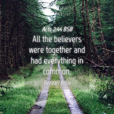 Picture 04 - Acts 2:44 BSB - All the believers were together and had - Bible Verse Picture