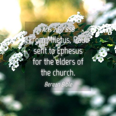 Picture 04 - Acts 20:17 BSB - From Miletus, Paul sent to Ephesus for the elders - Bible Verse Picture