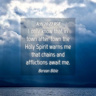 Picture 04 - Acts 20:23 BSB - I only know that in town after town the Holy - Bible Verse Picture