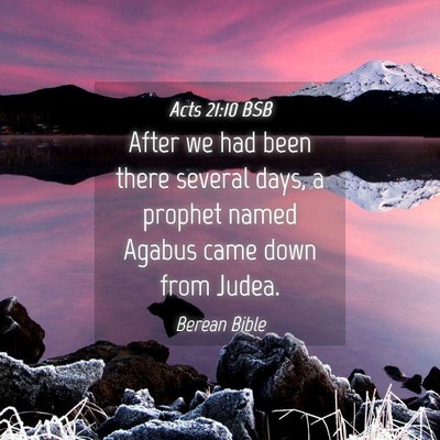Picture 04 - Acts 21:10 BSB - After we had been there several days, a prophet - Bible Verse Picture
