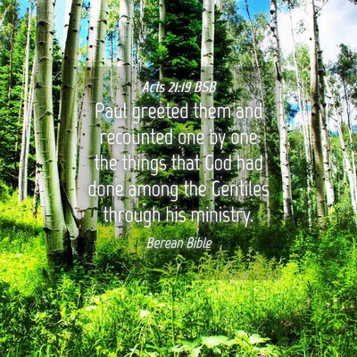 Picture 04 - Acts 21:19 BSB - Paul greeted them and recounted one by one the - Bible Verse Picture