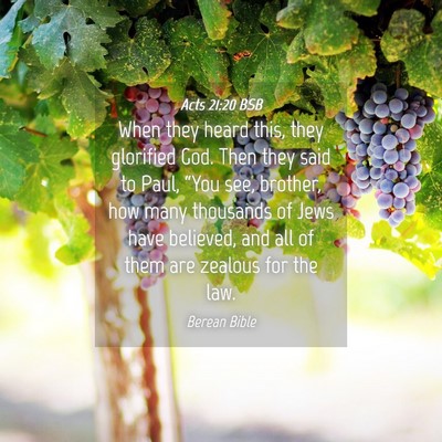 Picture 04 - Acts 21:20 BSB - When they heard this, they glorified God. Then - Bible Verse Picture