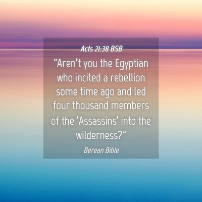 Picture 04 - Acts 21:38 BSB - “Aren’t you the Egyptian who incited a - Bible Verse Picture