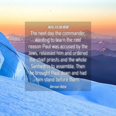 Picture 04 - Acts 22:30 BSB - The next day the commander, wanting to learn the - Bible Verse Picture