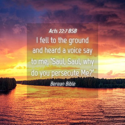 Picture 04 - Acts 22:7 BSB - I fell to the ground and heard a voice say to me, - Bible Verse Picture