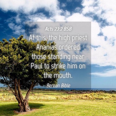 Picture 04 - Acts 23:2 BSB - At this, the high priest Ananias ordered those - Bible Verse Picture