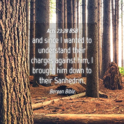 Picture 04 - Acts 23:28 BSB - and since I wanted to understand their charges - Bible Verse Picture