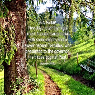 Picture 04 - Acts 24:1 BSB - Five days later the high priest Ananias came down - Bible Verse Picture