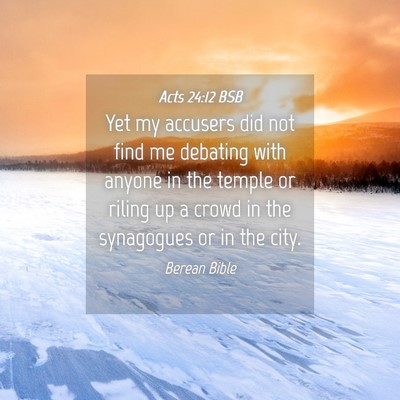 Picture 04 - Acts 24:12 BSB - Yet my accusers did not find me debating with - Bible Verse Picture