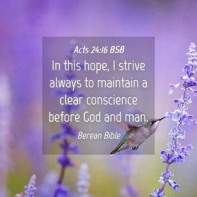 Picture 04 - Acts 24:16 BSB - In this hope, I strive always to maintain a clear - Bible Verse Picture