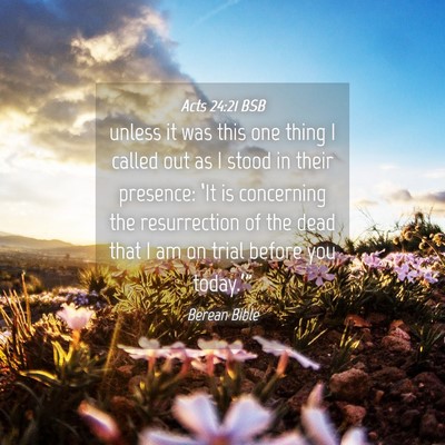 Picture 04 - Acts 24:21 BSB - unless it was this one thing I called out as I - Bible Verse Picture