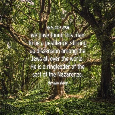 Picture 04 - Acts 24:5 BSB - We have found this man to be a pestilence, - Bible Verse Picture