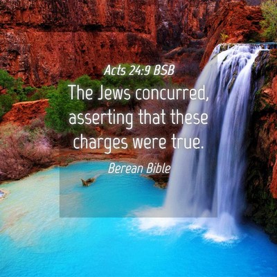 Picture 04 - Acts 24:9 BSB - The Jews concurred, asserting that these charges - Bible Verse Picture