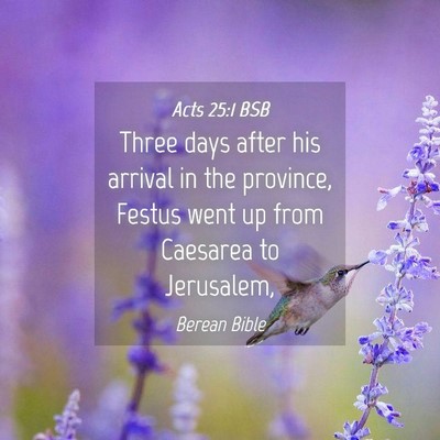 Picture 04 - Acts 25:1 BSB - Three days after his arrival in the province, - Bible Verse Picture