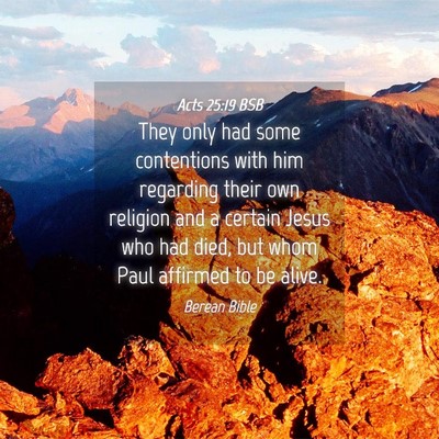 Picture 04 - Acts 25:19 BSB - They only had some contentions with him regarding - Bible Verse Picture
