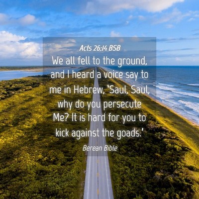 Picture 04 - Acts 26:14 BSB - We all fell to the ground, and I heard a voice - Bible Verse Picture