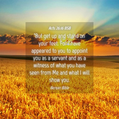 Picture 04 - Acts 26:16 BSB - ‘But get up and stand on your feet. For I have - Bible Verse Picture