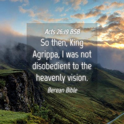 Picture 04 - Acts 26:19 BSB - So then, King Agrippa, I was not disobedient to - Bible Verse Picture