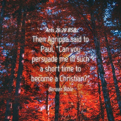 Picture 04 - Acts 26:28 BSB - Then Agrippa said to Paul, “Can you persuade me - Bible Verse Picture
