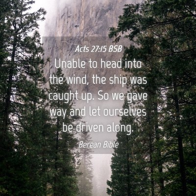 Picture 04 - Acts 27:15 BSB - Unable to head into the wind, the ship was caught - Bible Verse Picture