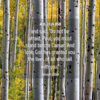 Picture 04 - Acts 27:24 BSB - and said, ‘Do not be afraid, Paul; you must - Bible Verse Picture