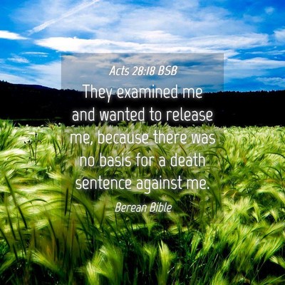 Picture 04 - Acts 28:18 BSB - They examined me and wanted to release me, - Bible Verse Picture