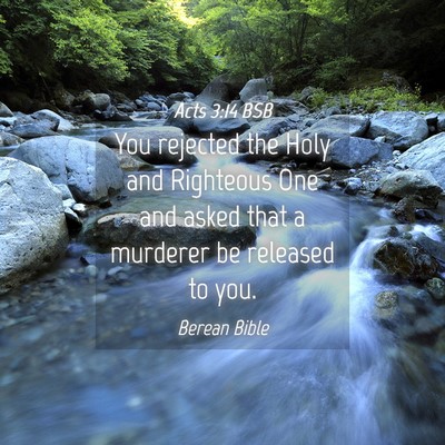 Picture 04 - Acts 3:14 BSB - You rejected the Holy and Righteous One and asked - Bible Verse Picture
